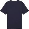 Koszulka męska Puma Team Rise Logo Jersey Cotton granatowa 658705 06