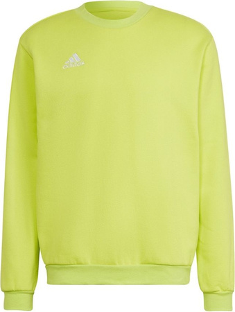 Bluza męska adidas Entrada 22 Sweat Top limonkowa HC5049