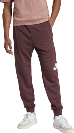 Spodnie męskie adidas Essentials Big Logo French Terry bordowe JE8972
