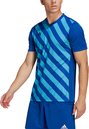 Koszulka męska adidas Entrada 22 Graphic Jersey niebiesko-błękitna HF0116