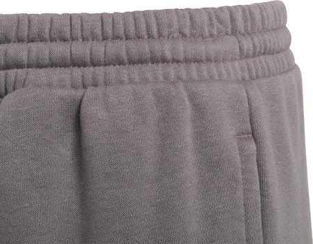 Spodnie dla dzieci adidas Entrada 22 Sweat Pants szare H57519
