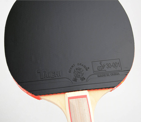 Rakietka do tenisa stołowego ping ponga Giant Dragon 3★ N8031 pokrowiec