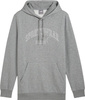 Bluza męska Puma Ess  Logo LAB Gradient Hoodie FL szara 681775 03