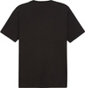 Koszulka męska Puma Graphics Summer Sports Tee II czarna 627909 01