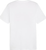 Koszulka męska Puma Graphics Summer Sports Tee II biała 627909 02