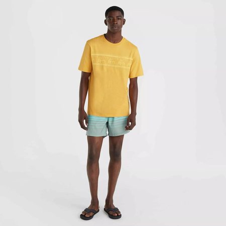 Męska koszulka z krótkim rękawem %producername% MIX