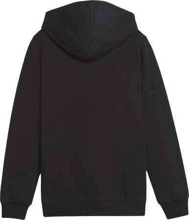 Bluza dla dzieci Puma teamGoal Casuals Hooded czarna 658596 03