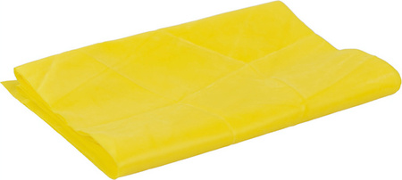 Guma treningowa rehabilitacyjna Fitness Profit Light 120x15x0,35cm