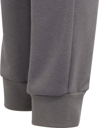 Spodnie dla dzieci adidas Entrada 22 Sweat Pants szare H57519