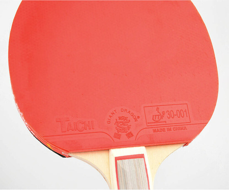 Rakietka do tenisa stołowego ping ponga Giant Dragon 3★ N8031 pokrowiec