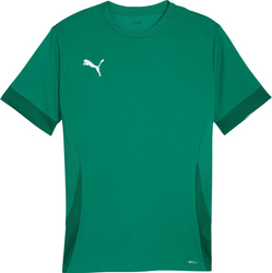 Koszulka męska Puma teamGoal Matchday Jersey zielona 705747 05