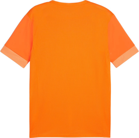 Koszulka męska Puma teamGoal Matchday Jersey pomarańczowa 705747 08