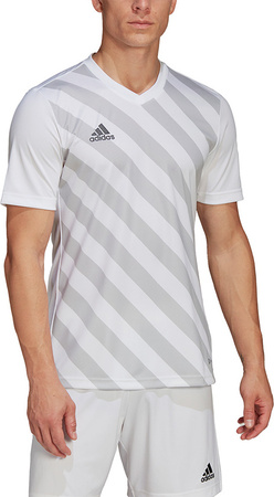 Koszulka męska adidas Entrada 22 Graphic Jersey biało-szara HF0129