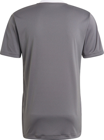 Koszulka męska adidas Tiro 21 Training Jersey szara GM7587