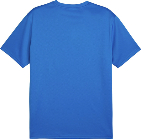 Koszulka męska Puma TeamGoal Jersey niebieska 658636 02