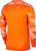 Bluza bramkarska męska Nike Dry Park IV JSY LS GK pomarańczowa CJ6066 819