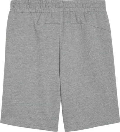 Spodenki męskie Puma teamGOAL Casuals szare 658608 33