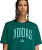 Koszulka męska adidas Collegiate Lineage Graphic zielona KA7135