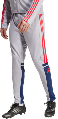 Spodnie męskie adidas Squadra 25 Training szare JP3372