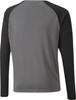 Bluza bramkarska dla dzieci Puma teamPACER GK LS Jersey szara 704939 43