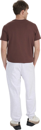 Spodnie męskie 4F CAS M1140 szare 4FWMM00TTROM1140 27M