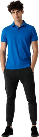 Koszulka polo męska 4F niebieska NOSH4 TSM355 33S