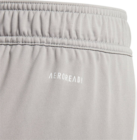 Spodenki dla dzieci adidas Tiro 24 szare IT2408