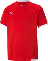 Koszulka dla dzieci Puma teamLIGA Jersey czerwona 704925 01