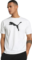 Koszulka męska Puma Team Rise Logo Jersey Cotton biała 658705 04