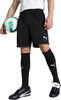 Spodenki męskie Puma Team Goal czarne 705752 03