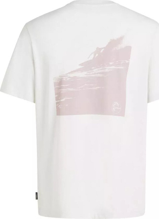 Męska koszulka z krótkim rękawem O'neill OG BT T-SHIRT natural rozmiar M