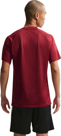 Koszulka męska Nike Dri-Fit Park VIII bordowa HV8173 677