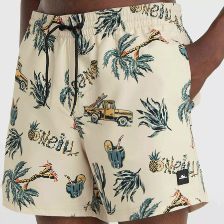 Męskie szorty O'neill MIX