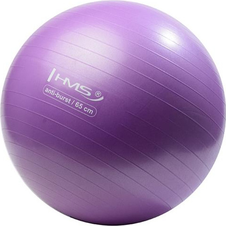 Piłka gimnastyczna fitness HMS yb02n 65cm anti-burst fioletowa
