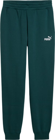 Spodnie męskie Puma ESS no.1 Logo Sweatpants FL zielone 682607 75
