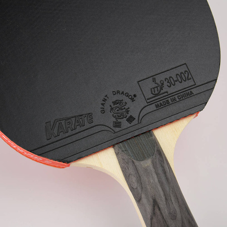 Rakietka do tenisa stołowego ping-ponga Giant Dragon 5***** N8051 pokrowiec