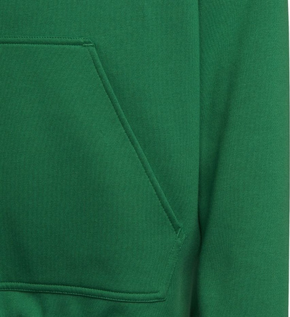 Bluza dla dzieci adidas Entrada 22 Hoody zielona HI2143
