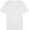 Koszulka męska Puma ESS Small Logo Tee biała 682538 02