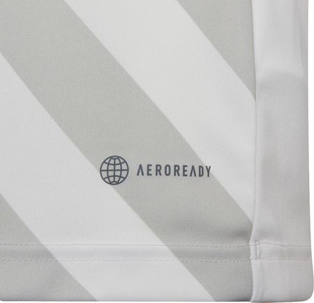 Koszulka dla dzieci adidas Entrada 22 Graphic Jersey biało-szara HF0120