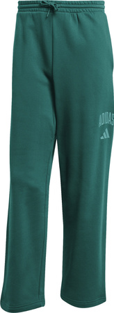 Spodnie męskie adidas Collegiate zielone JM9178