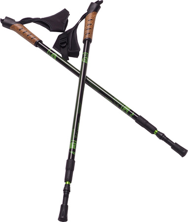 Kije kijki Nordic Walking Scout Bjorn zielone 3cz