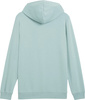 Bluza męska Puma Ess 2 Color Small No.1 Logo Hoodie TR miętowa 684719 67
