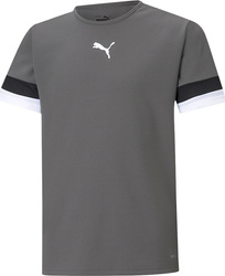 Koszulka dla dzieci Puma teamRISE Jersey Jr szara 704938 13