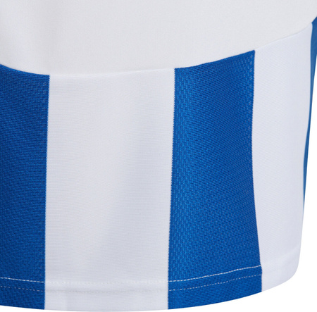 Koszulka dla dzieci adidas Striped 24 biało-niebieska IW2134