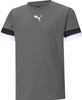 Koszulka dla dzieci Puma teamRISE Jersey Jr szara 704938 13