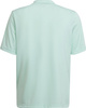 Koszulka dla dzieci adidas Entrada 22 Graphic Jersey miętowo-szara HF0127