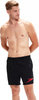 Męskie szorty Speedo SPORT SOLID 16" WSHT AM black/fed red rozmiar S
