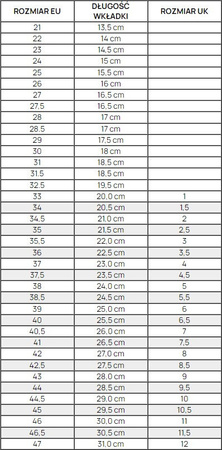 Buty piłkarskie Puma King Ultimate FG/AG 107563 05