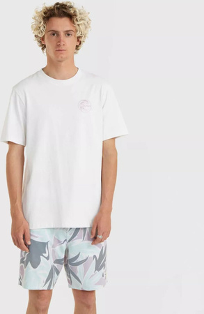 Męska koszulka z krótkim rękawem O'neill OG BT T-SHIRT natural rozmiar M