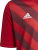 Koszulka dla dzieci adidas Entrada 22 Graphic Jersey czerwona H58983
